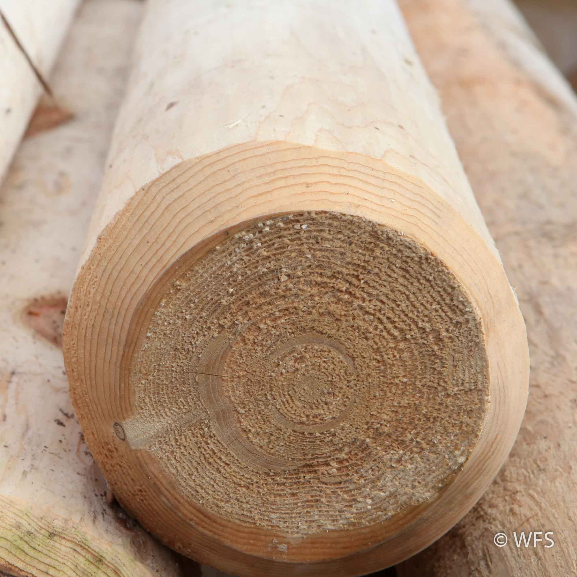 Cedar Peeled Post 5 6 X 12